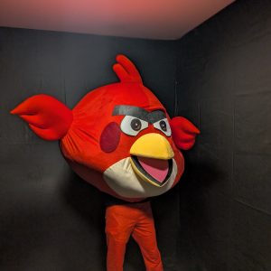 ANGRY BIRD KOSTÜM