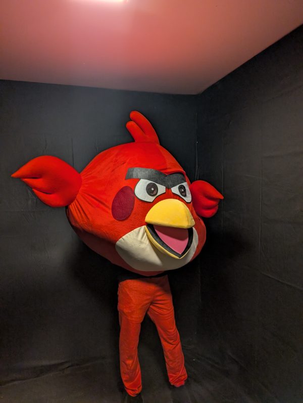 ANGRY BIRD KOSTÜM