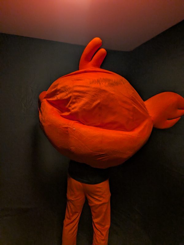 ANGRY BIRD KOSTÜM – Bild 3