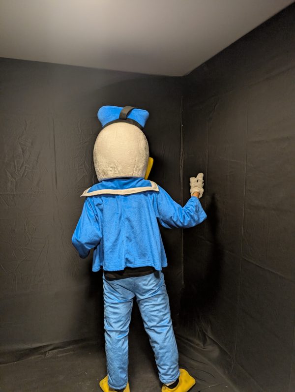 DONALD DUCK KOSTÜM – Bild 3