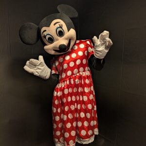 MICKY MAUS KOSTÜM