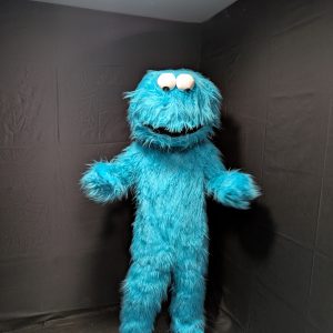 KRÜMELMONSTER KOSTÜM