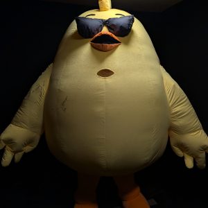 ANGRY BIRD KOSTÜM