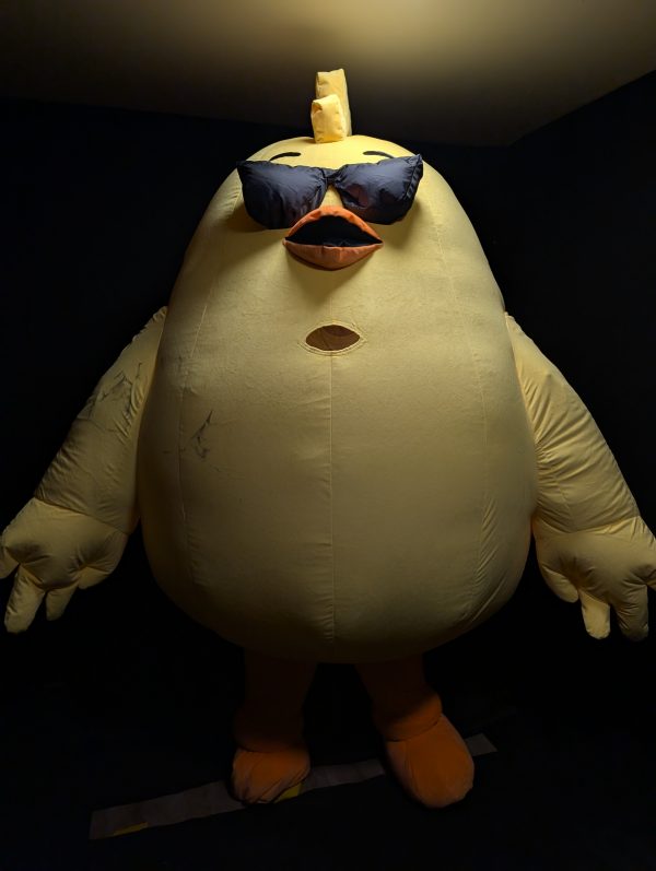 ANGRY BIRD KOSTÜM