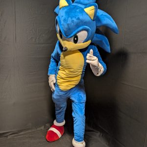 SONIC KOSTÜM