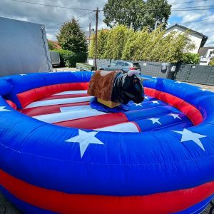 BULL RIDING